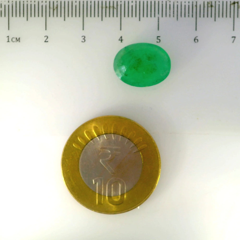 IGITL_205620_SCALE.webp
