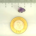 ITLGR_109452_SCALE.webp