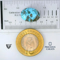 ITLGR_100830_SCALE.webp