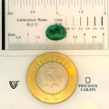 ITLGR_100264_SCALE.webp