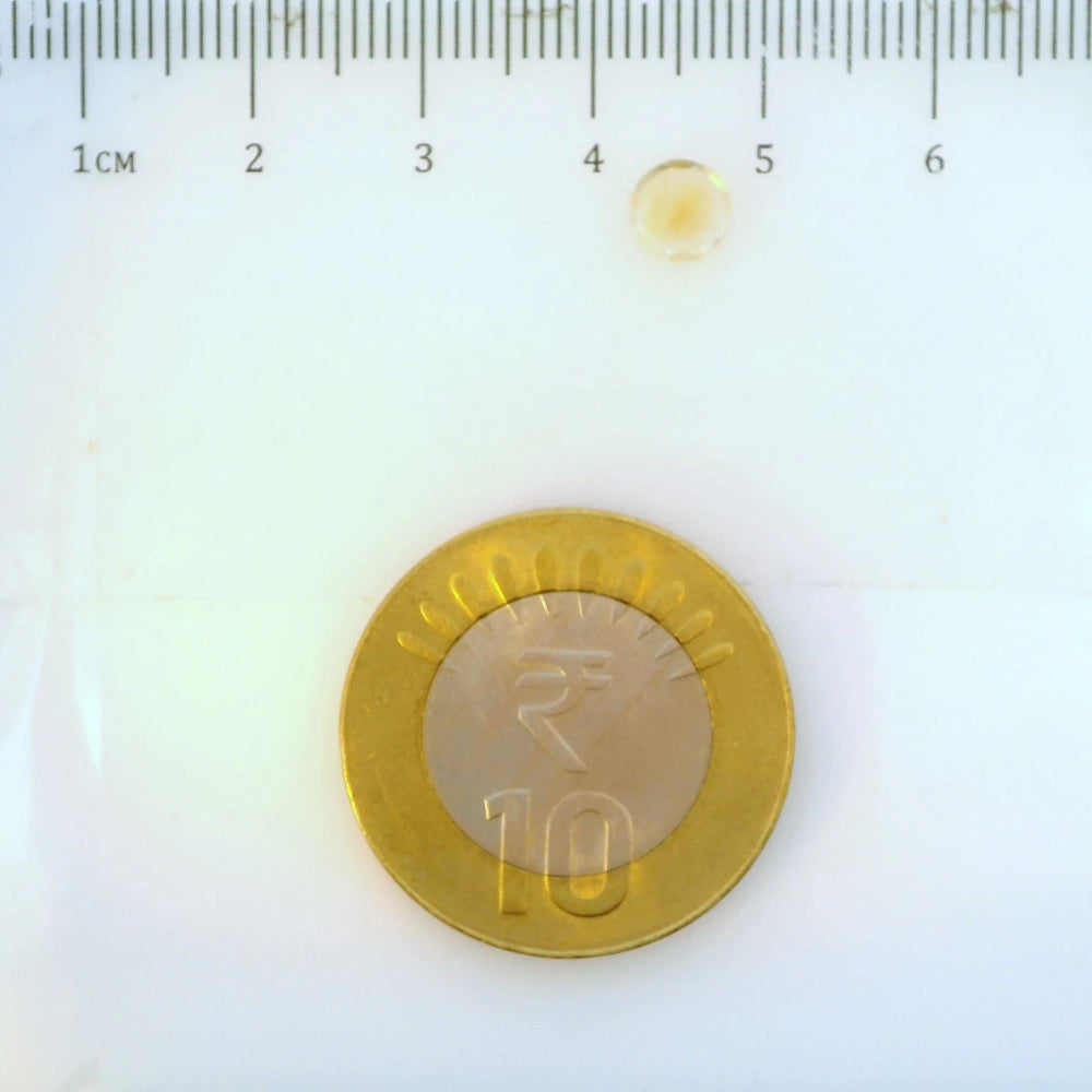 ITLGR_113345_SCALE.webp
