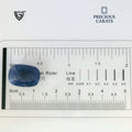 ITLGR_98953_SCALE.webp