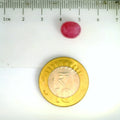 ITLGR_2425_SCALE.webp