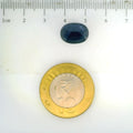 GFCO_28085-1_SCALE.webp