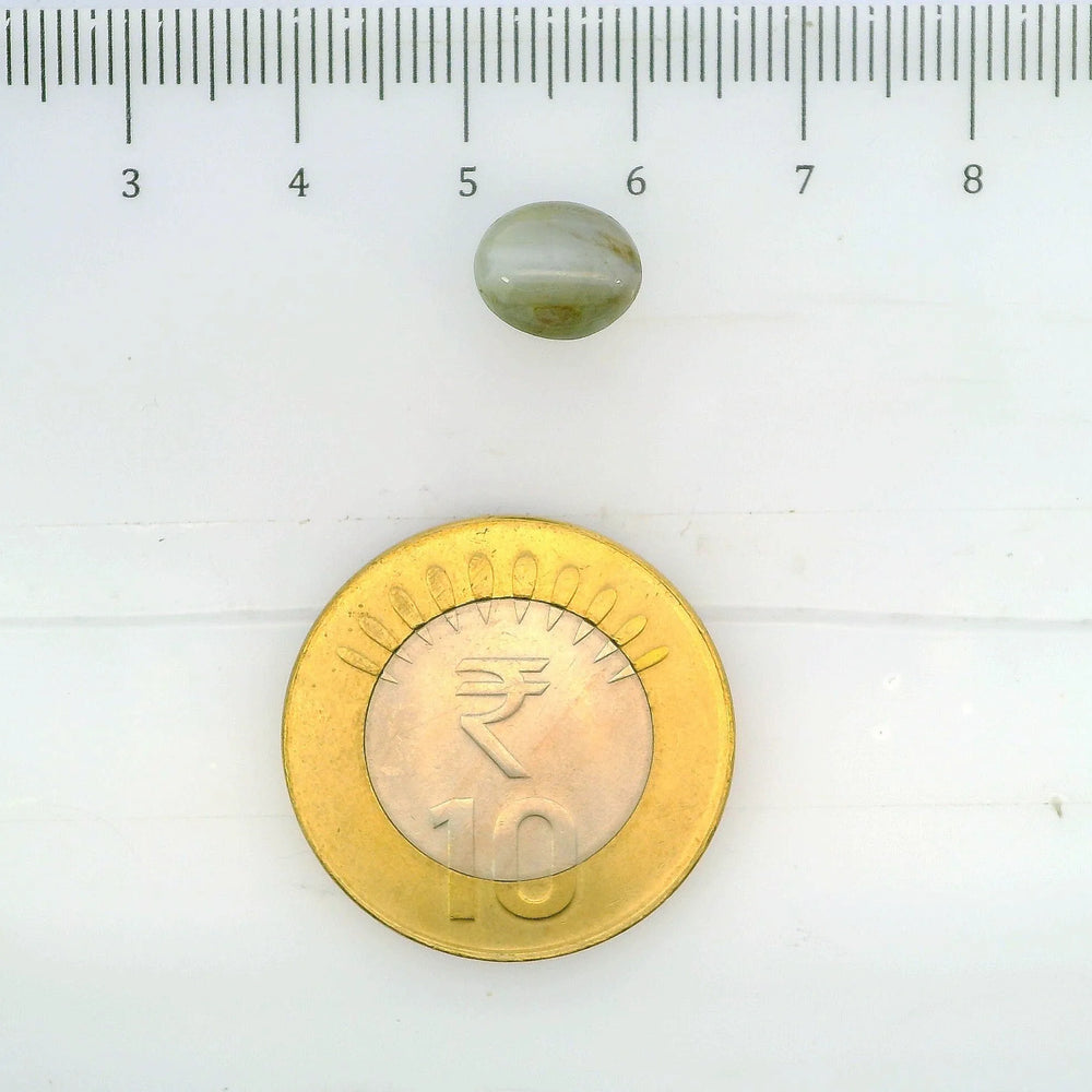 ITLGR_109778_SCALE.webp