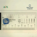 IGITL_194715_SCALE.webp
