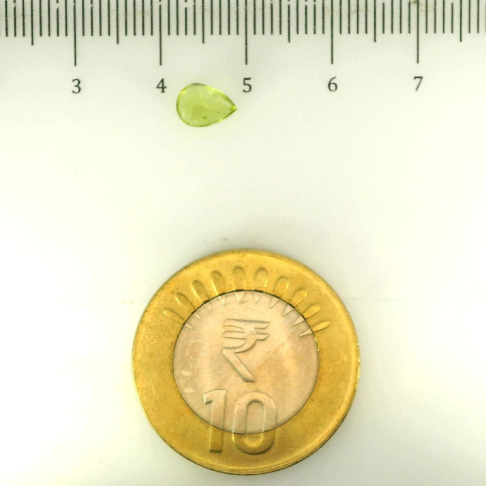 ITLGR_109371_SCALE.webp