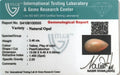 ITLGR_100555_CERTIFICATE.webp