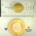 ITLGR_100504_SCALE.webp