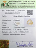 IGITL_211663_CERTIFICATE.webp