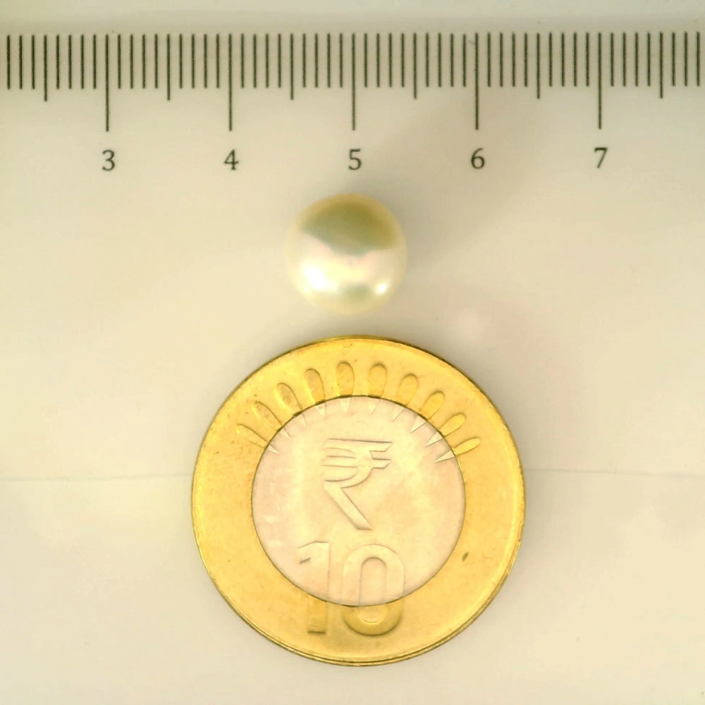 ITLGR_106951_SCALE.webp
