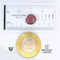 ITLGR_102668_SCALE.webp
