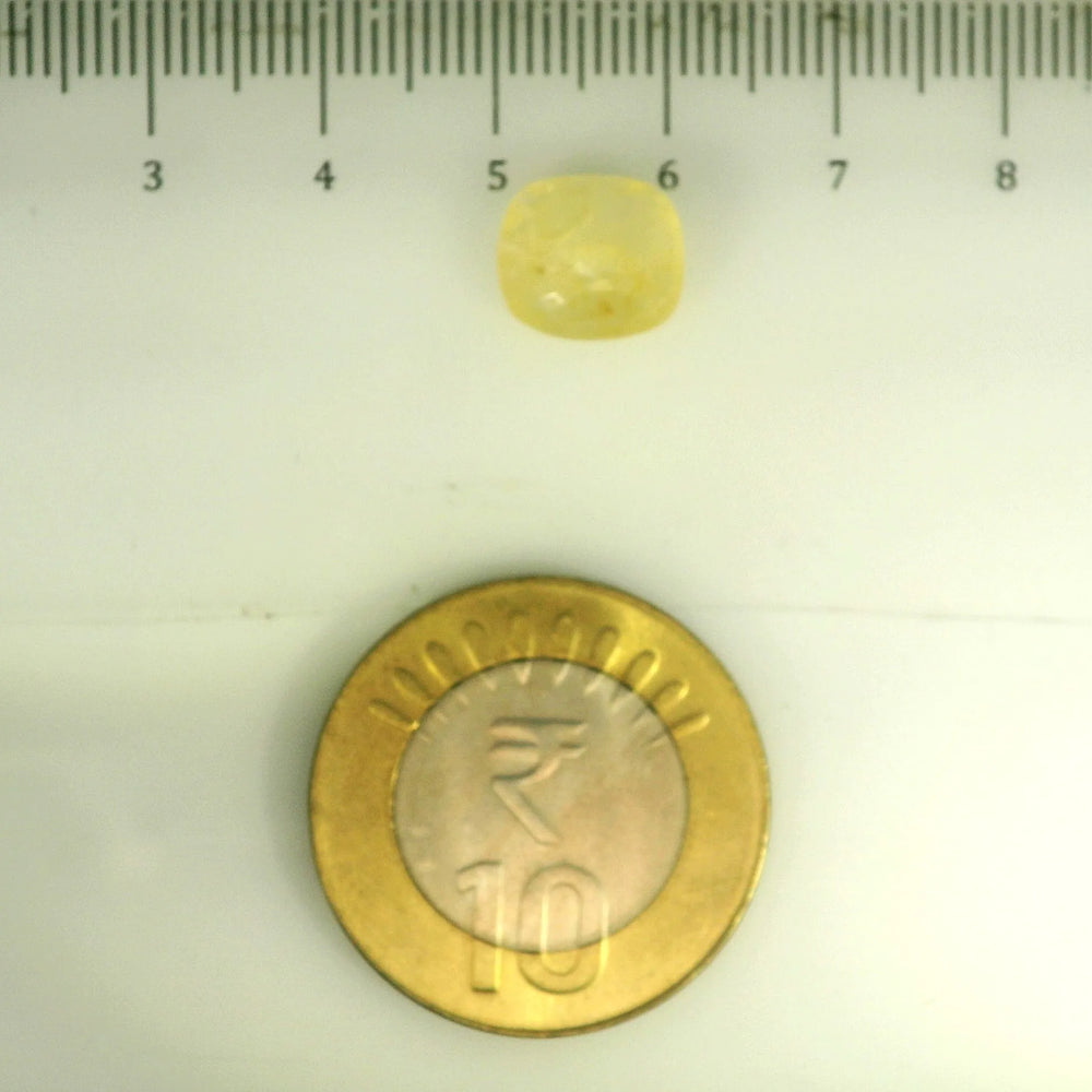 IGITL_201537_SCALE.webp