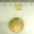 IGITL_201537_SCALE.webp