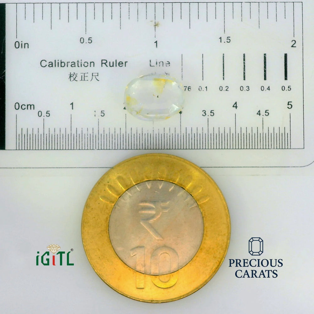 IGITL_197791_SCALE.webp