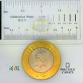 IGITL_197791_SCALE.webp