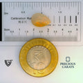 ITLGR_100555_SCALE.webp