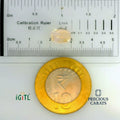 IGITL_197747_SCALE.webp