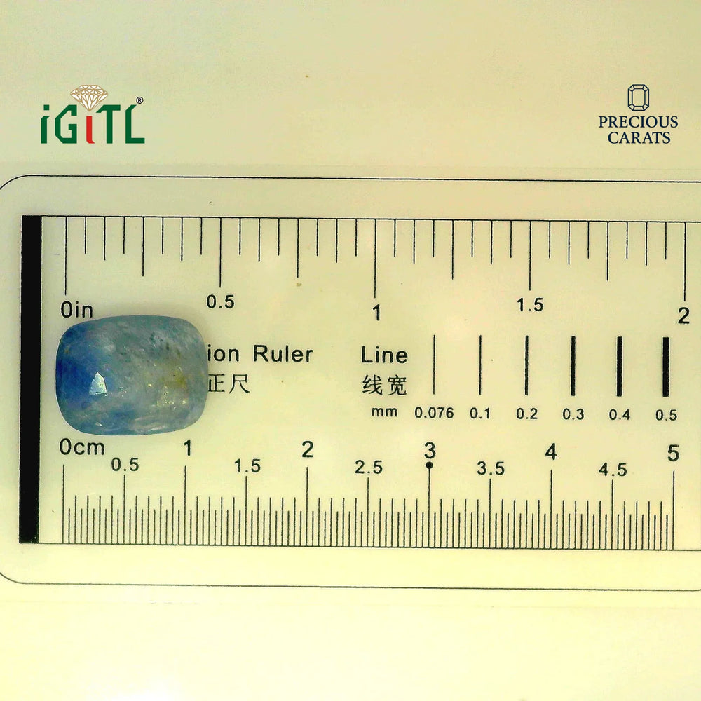 IGITL_194696_SCALE.webp