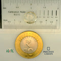 IGITL_197751_SCALE.webp