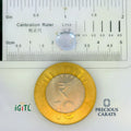 IGITL_197779_SCALE.webp
