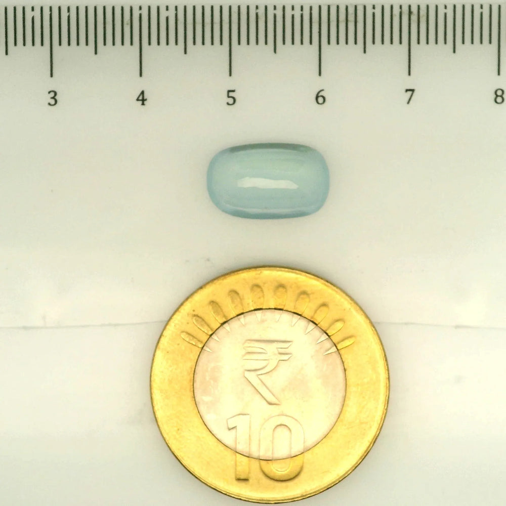 ITLGR_109511_SCALE.webp