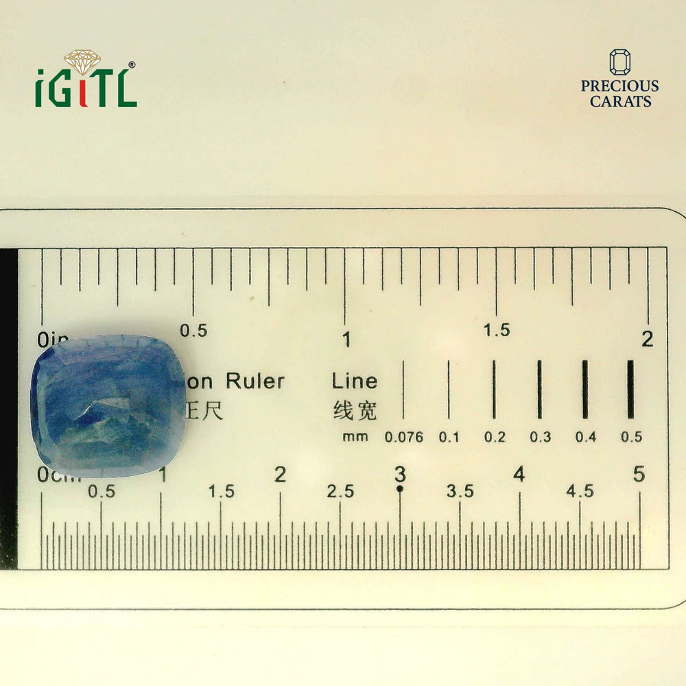 IGITL_194684_SCALE.webp