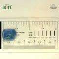 IGITL_194684_SCALE.webp