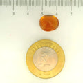 ITLGR_104407_SCALE.webp