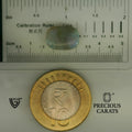 ITLGR_101954_SCALE.webp
