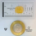 ITLGR_98882_SCALE.webp