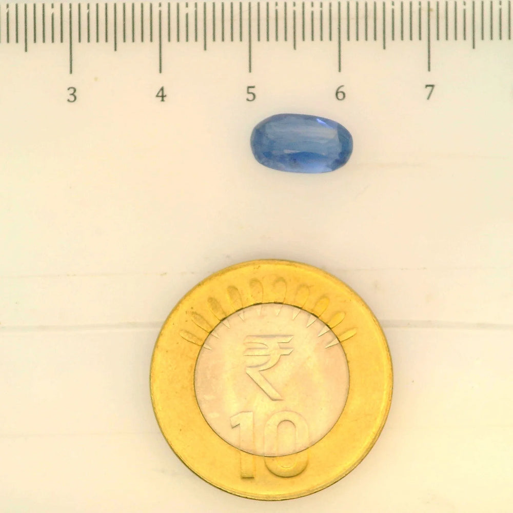 IGITL_197821_SCALE.webp
