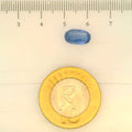 IGITL_197821_SCALE.webp
