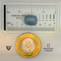 ITLGR_99019_SCALE.webp