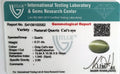 ITLGR_100582_CERTIFICATE.webp