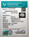 ITLGR_101895_CERTIFICATE.webp