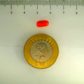 ITLGR_107118_SCALE.webp
