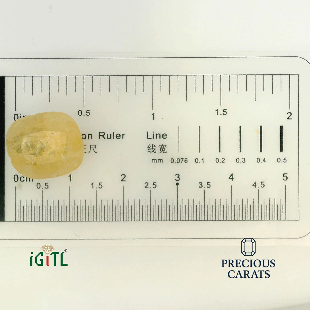 IGITL_194711_SCALE.webp