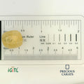 IGITL_194711_SCALE.webp