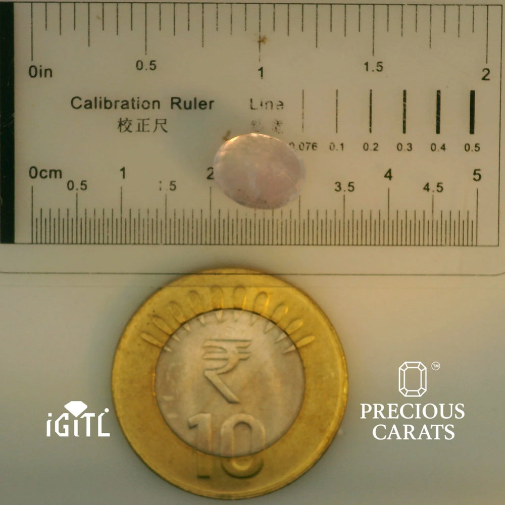 IGITL_197829_SCALE.webp