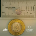 IGITL_197829_SCALE.webp