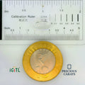 IGITL_197789_SCALE.webp