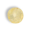 IGITL_211779_TOP.webp