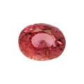 IGITL_200219_FRONT.png