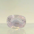 IGITL_197836_FRONT.webp