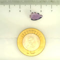 ITLGR_109442_SCALE.webp