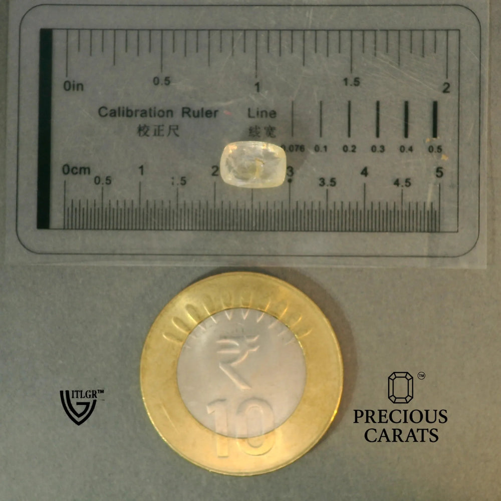 ITLGR_100391_SCALE.webp