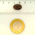ITLGR_121475_SCALE.webp