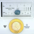 ITLGR_99006_SCALE.webp