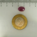 ITLGR_112877_SCALE.webp